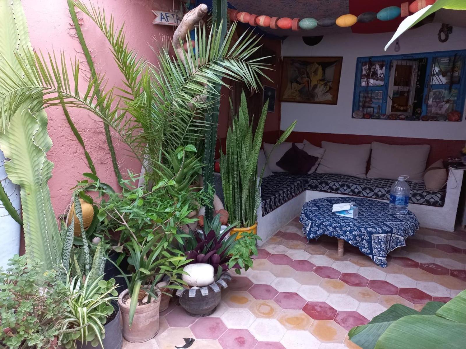 Kasba De L'Artiste Acomodação com café da manhã Mirleft Exterior foto